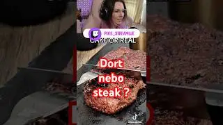 DORT NEBO STEAK ? #czech #twitch #funny #pixie