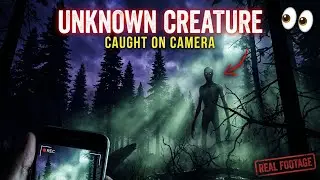 Unknown Creature Spotted in a U S  Forest | True Horror Story