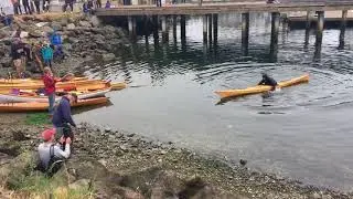 Pygmy kayak rolling demonstration
