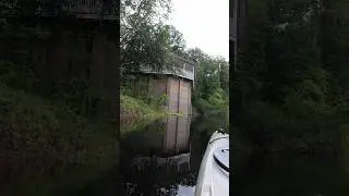 Kayaking the Suwannee River in White Springs, FL