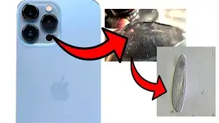 Iphone 13 Pro Max Macro