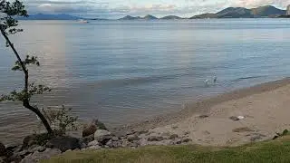 Gar&ccedil;as na Beira-mar de Florian&oacute;polis!
