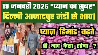 प्याज में डिमांड का असर भावों पर ? Azadpur Delhi Mandi Today में 19-01-2026 के Onion Price DMT TV