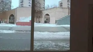 Александр Гронский