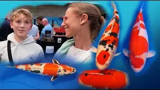 Waarom zijn mensen zo gek op Koi? Belgische Koi show is plezant!