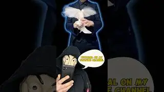 DOVE MAGIC TRICK 🪄🕊️ #tricks #magic #magictricks #foryou