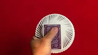 Monarchs Purple