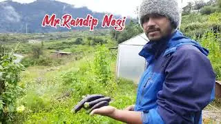 devdarshan home stay urgam valley