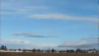 Parkzone Radian Sailplane