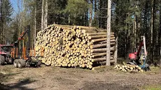 Starkes Holz mit BMF 11T1 Pro Case Vestrum Forsttraktor und Neuson 11002 HVT