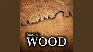 Hard Wood Impact and Splinter 2