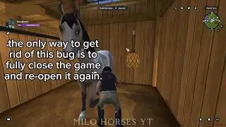 Weird bug (fishing rod stuck to character) - Star Stable Online