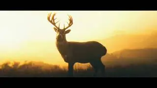 Arthurs Death Scene With 'See the Fire in Your Eyes' Song - Version 1 (Red Dead Redemption 2)