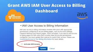 How to Grant AWS IAM User access to Billing Dashboard