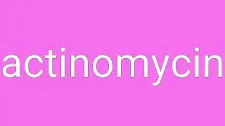 Actinomycin Definition & Meaning