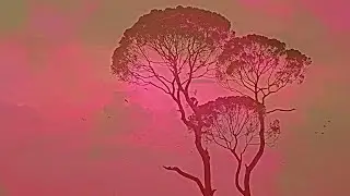 Kurbeats - Lemming Leisures (Carbon Based Lifeforms Carbonator Remix) | Chill Space