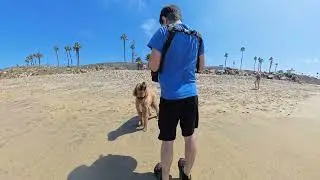Huntington Dog Beach - August 18 2025