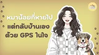 หมาน้อยที่หายไป แต่กลับบ้านเองด้วย GPS ในใจ | ขนปุยสตอรี่ EP.1