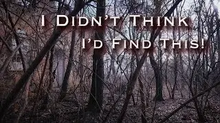 What&rsquo;s Hiding in These Woods? A Forgotten Farmhouse Revealed