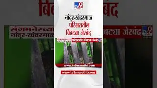 Sangamner Leopard News | नांदूर-खंदरमाळ परिसरातील बिबट्या जेरबंद