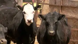 Wheatland community responds to help farmers affected by barn fire