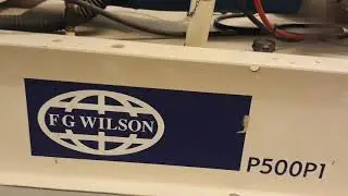 How reset Generator Alarm -Brand(FG wilson)