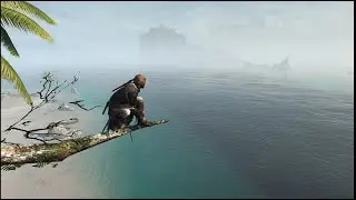 Assassin's Creed IV: Black Flag