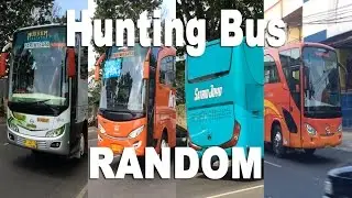 Hunting Bus Random Gemilang Indonesia (EX SCH), Kwantrans, Satrio Joyo, Duta Prima