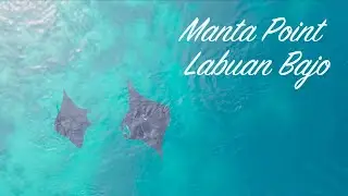 [4K] Taka Makassar Manta Point Bat Island - Labuan Bajo Trip