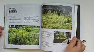 Книга Naturalistic Planting Design. The essential guide (Природный дизайн посадок. Основы)