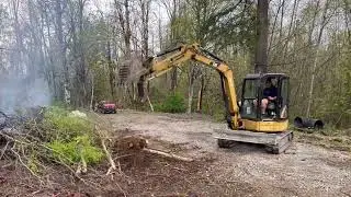 Spring Burn and blackberry removal