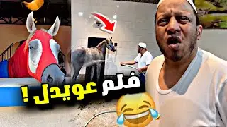 فلم عويدل 🤣🤣🤣 | سنابات مرتضى السلمان