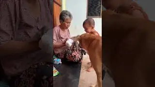 Happier Jack So Beautiful Sharing Snack With Family #monkey #animal #anime #monkeybaby #cute