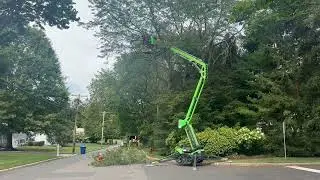 Tree Trimming Experts in Tinton Falls, NJ: Hufnagel Tree Service