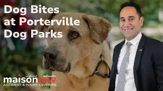 Dog Bites at Porterville Dog Parks