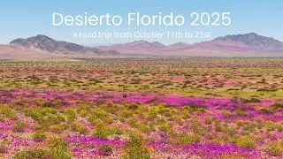 Desierto Florido 2025