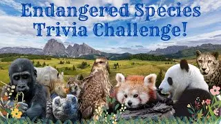How Well Do You Know Your Endangered Species? Trivia Challenge!