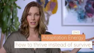 Adaption Energy: How to Thrive Instead of Survive | Ziva Meditation