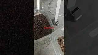 Q32 roasted coffee beans color sorting machine #coffee #coffeebeansroasting