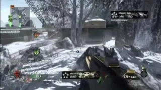 Black Ops: 79-4 Domination Array Gold G11
