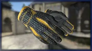 Sport Gloves | Omega (Field-Tested)