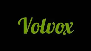 Volvox |Algae|Complementary Botany |Bsc zoology |1st year |1st Semester |Mg university