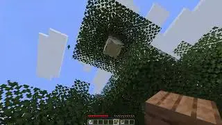 Playing Minecraft: Java Edition for the first time