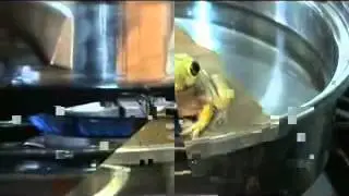 Story of the Boiling Frog Syndrome