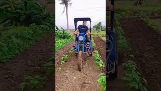 🌾ખેડૂત 🌾#trending #vairal #YouTube short #gujarati #ajaabutvnews