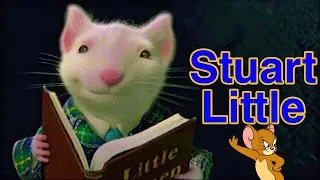 Stuart Little (1999) Movie Explained In Hindi | Explain House