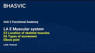 E3 Muscles & E6 Movements - Elbow joint
