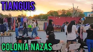 FAYUCA DE LA COLONIA NAZAS EN TORREON COAH, MEXICO