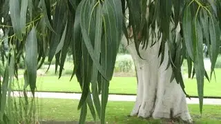 Обновление жизни. (Life renewal) 