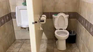 Niagara Stealth Toilet Flush & American Standard Washbrook Urinal | Desensitization #toilets #flush